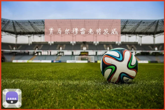贾马尔穆雷老将发威