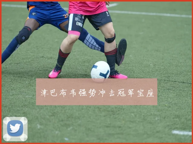 津巴布韦强势冲击冠军宝座