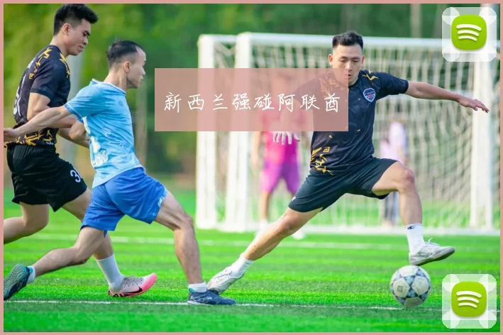 新西兰强碰阿联酋