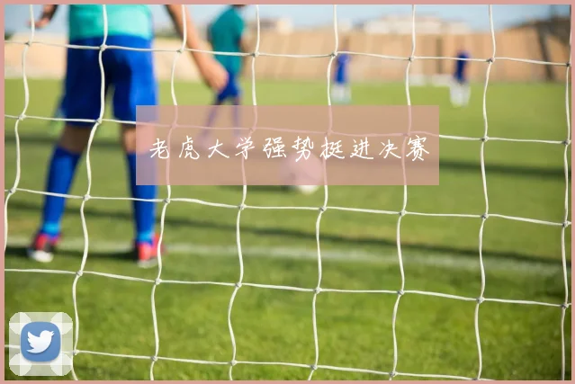 老虎大学强势挺进决赛