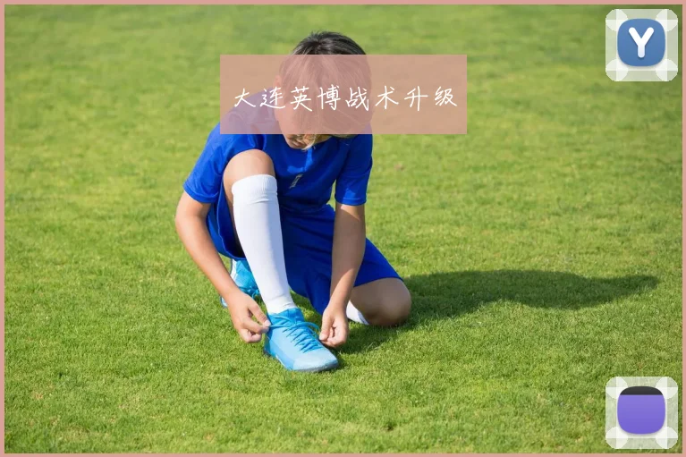 大连英博战术升级