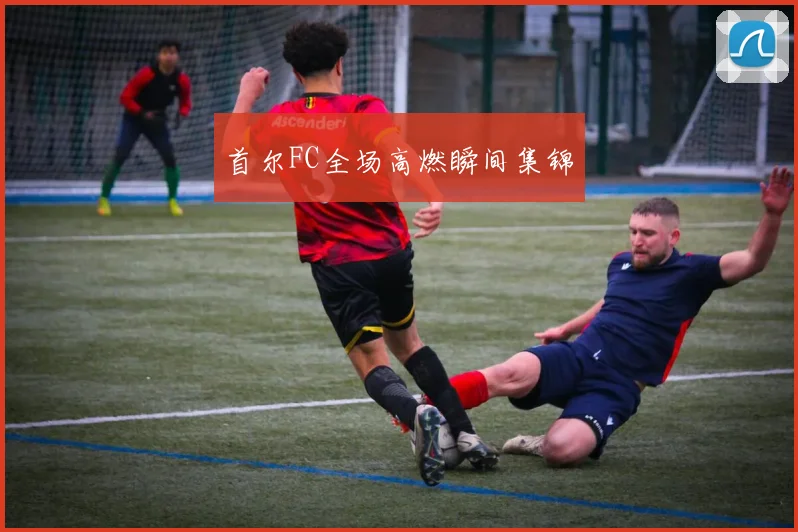首尔FC全场高燃瞬间集锦