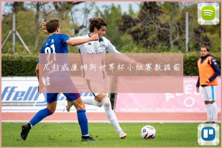 尼科威廉姆斯世界杯小组赛数据前瞻