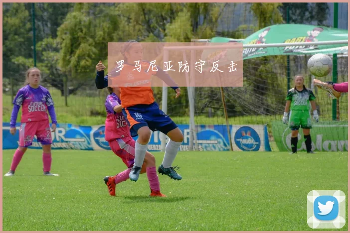 罗马尼亚防守反击