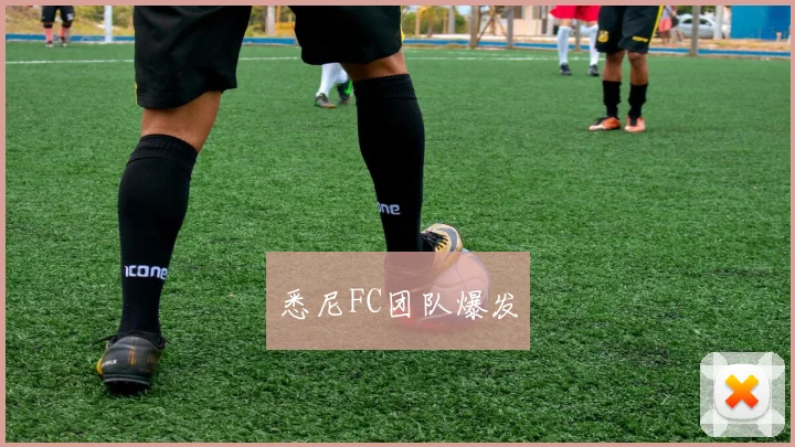 悉尼FC团队爆发
