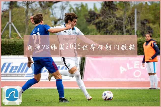 南非vs韩国2026世界杯射门数据
