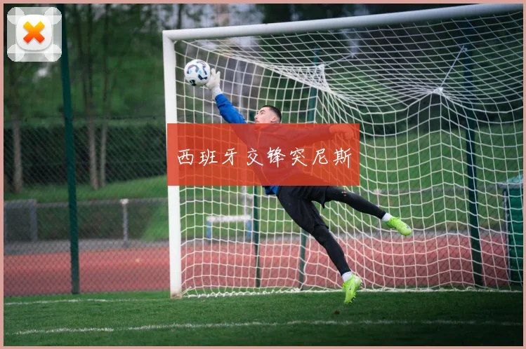 西班牙交锋突尼斯