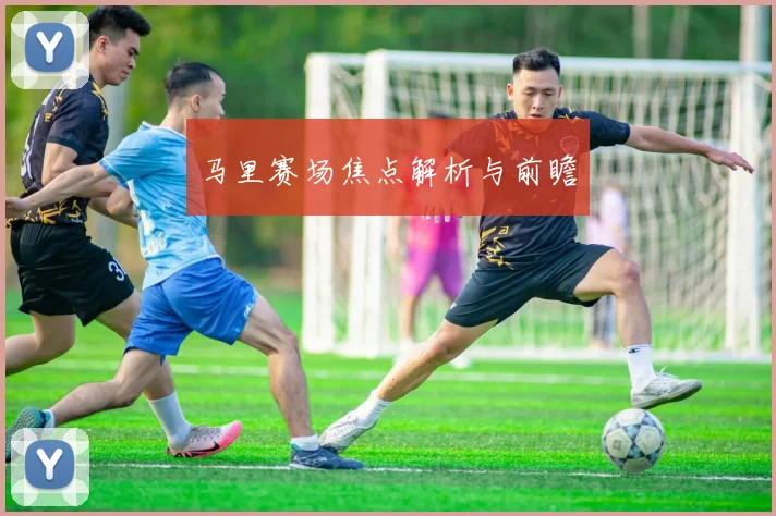 马里赛场焦点解析与前瞻