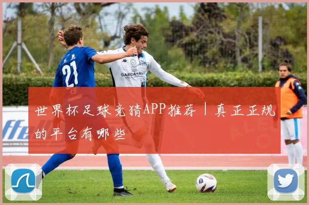 世界杯足球竞猜APP推荐｜真正正规的平台有哪些