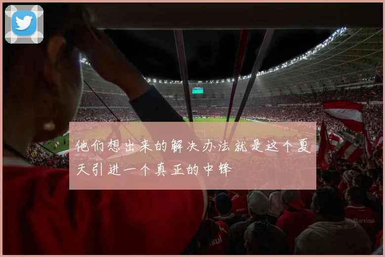 他们想出来的解决办法就是这个夏天引进一个真正的中锋
