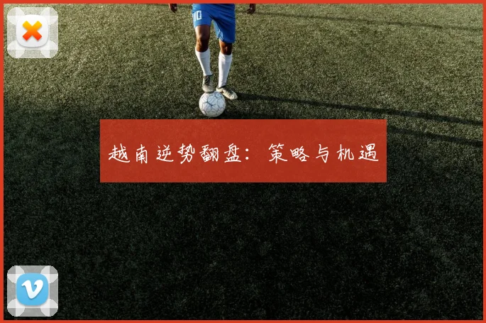 越南逆势翻盘：策略与机遇