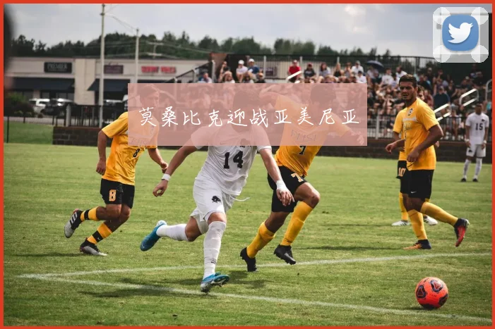 莫桑比克迎战亚美尼亚