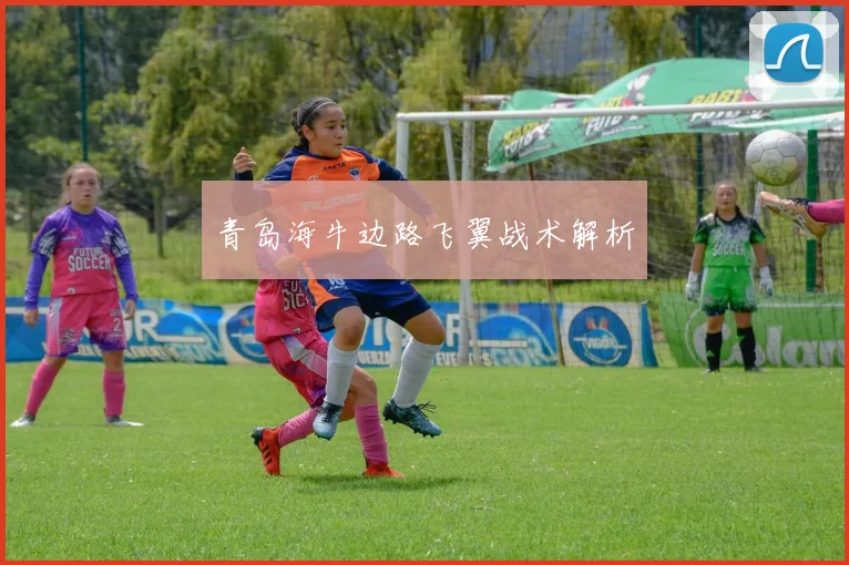 青岛海牛边路飞翼战术解析
