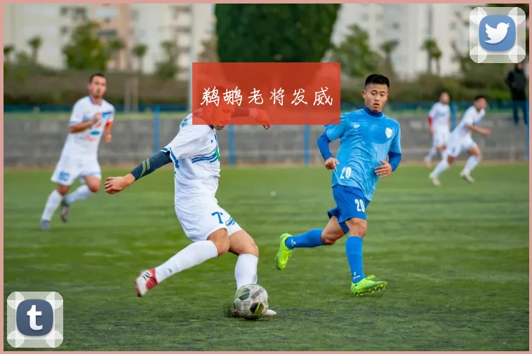 鹈鹕老将发威