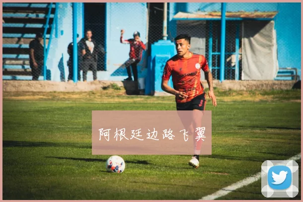 阿根廷边路飞翼