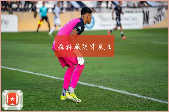 森林狼防守反击