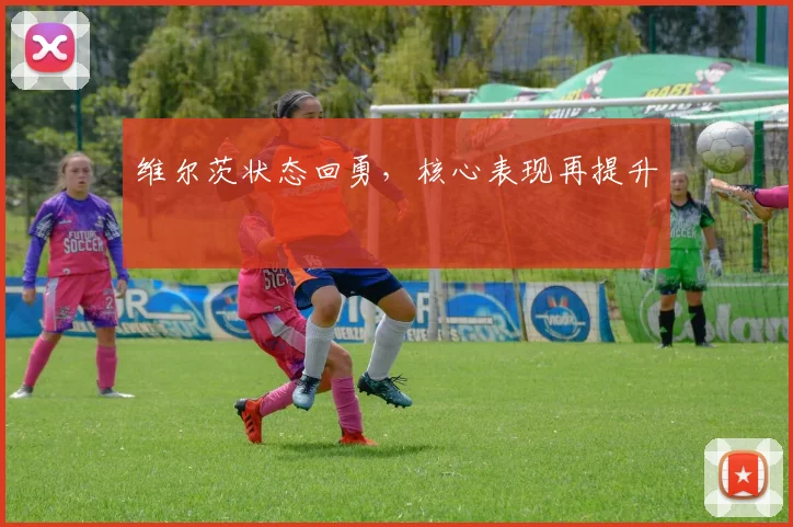 维尔茨状态回勇，核心表现再提升