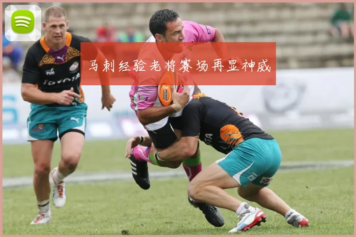 马刺经验老将赛场再显神威