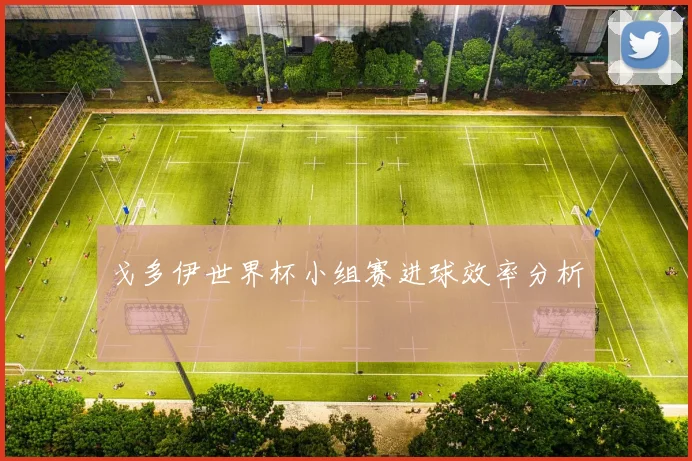 戈多伊世界杯小组赛进球效率分析