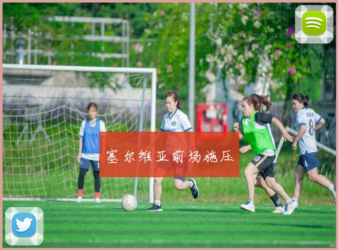 塞尔维亚前场施压