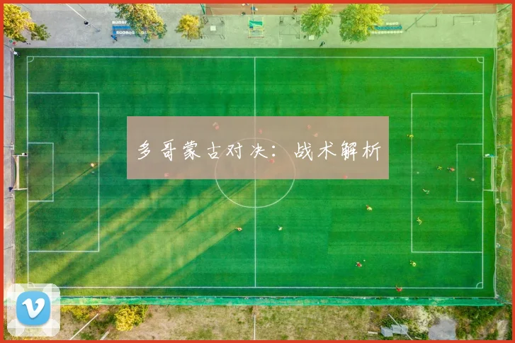 多哥蒙古对决：战术解析