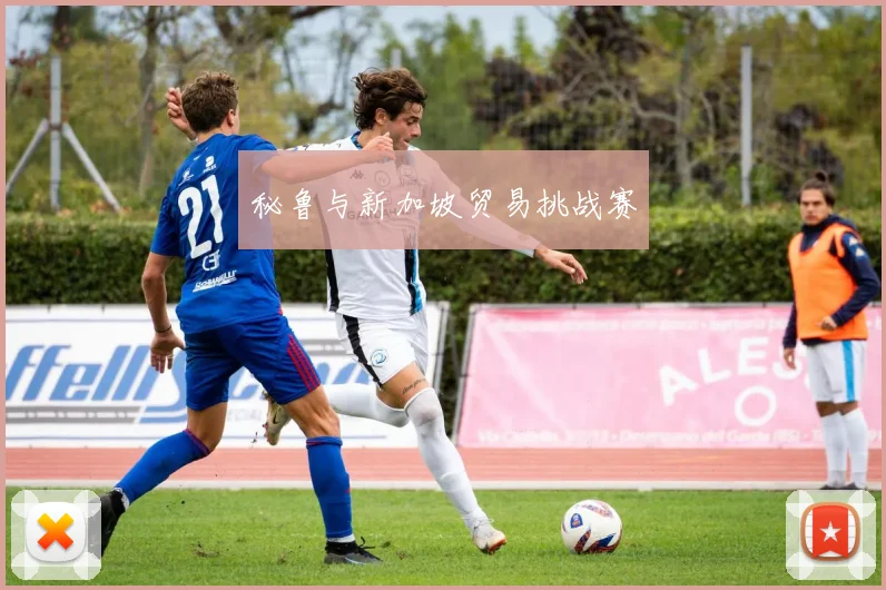 秘鲁与新加坡贸易挑战赛