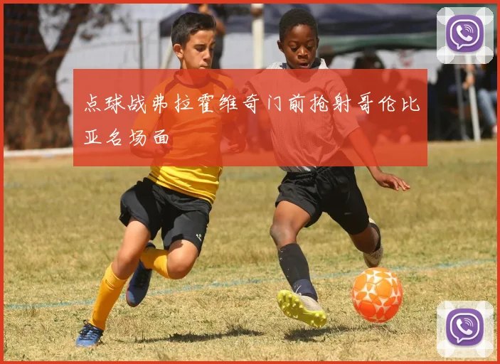 点球战弗拉霍维奇门前抢射哥伦比亚名场面