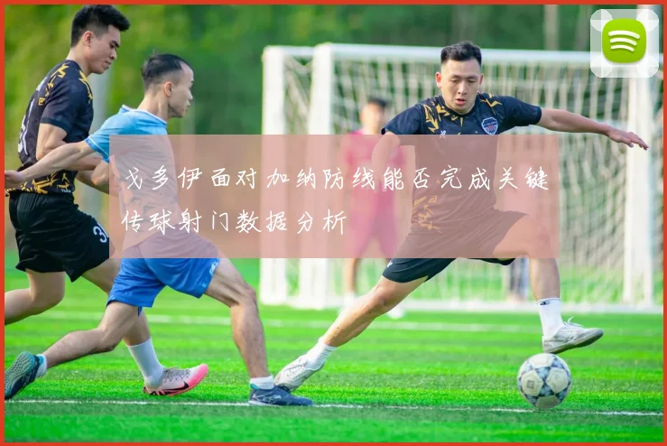 戈多伊面对加纳防线能否完成关键传球射门数据分析
