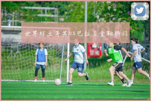 世界杯土耳其vs巴拉圭金靴热门
