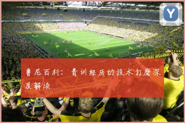 鲁尼百科：青训经历的技术打磨深度解读