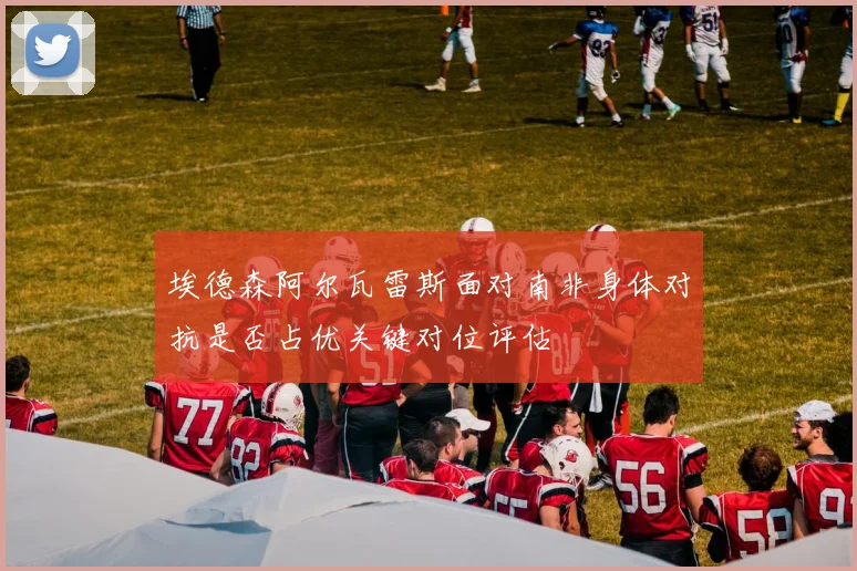 埃德森阿尔瓦雷斯面对南非身体对抗是否占优关键对位评估