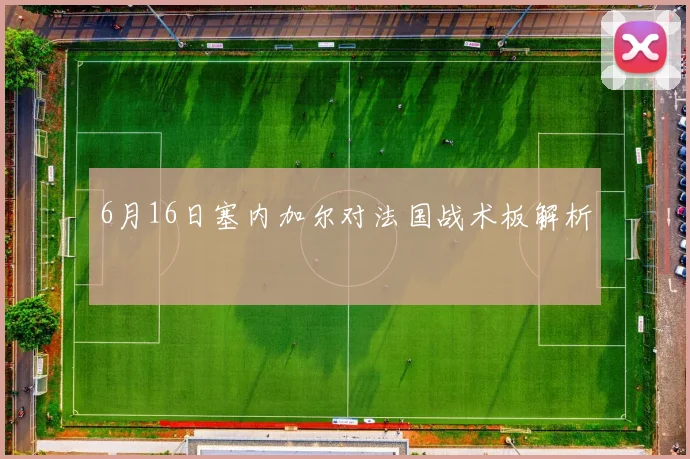 6月16日塞内加尔对法国战术板解析